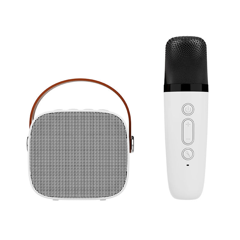 Wireless Bluetooth Portable Speaker with Microphone