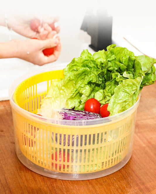 Electric Double Layer Vegetable and Fruit Drainer Dryer