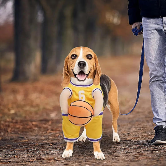 Dog Basketball Player Costume for Small Pets