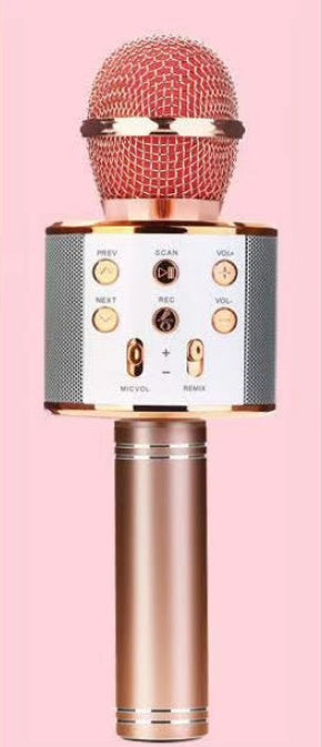 Bluetooth Wireless Hot Singing Mic KTV Player Karaoke Microphone Speaker