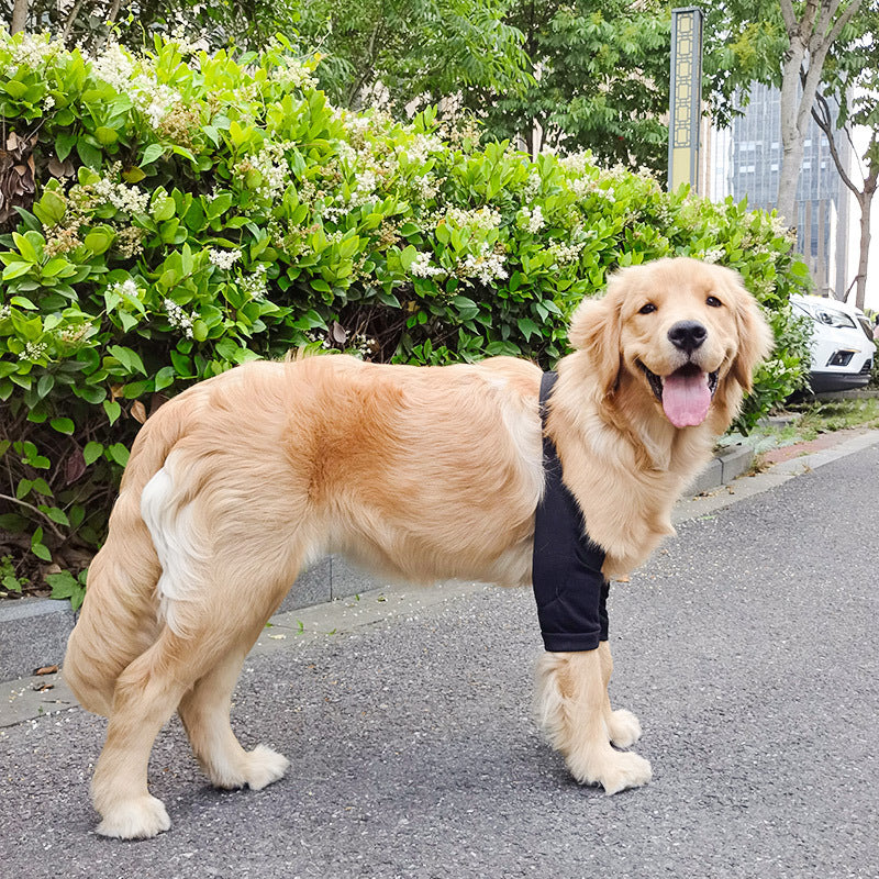 Pet Knee Joint Wear Protection Sleeve
