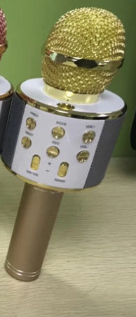 Portable Wireless Bluetooth Microphone with Mini KTV Speaker