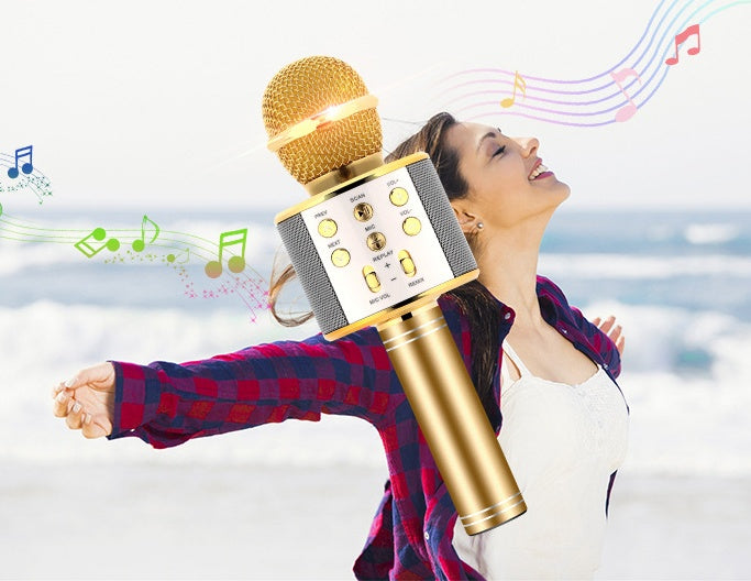 Portable Wireless Bluetooth Microphone with Mini KTV Speaker