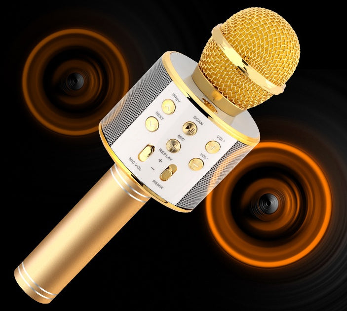 Portable Wireless Bluetooth Microphone with Mini KTV Speaker