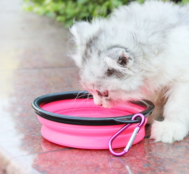 Portable 2-in-1 Pet Water & Food Bottle with Collapsible Bowl