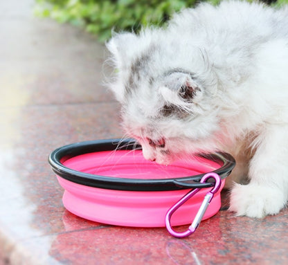 Portable 2-in-1 Pet Water & Food Bottle with Collapsible Bowl