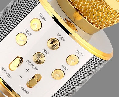 Portable Wireless Bluetooth Microphone with Mini KTV Speaker