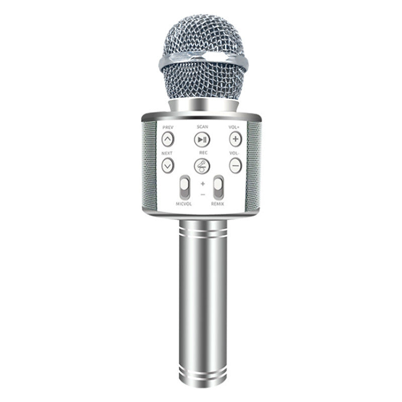 Portable Wireless Bluetooth Microphone with Mini KTV Speaker