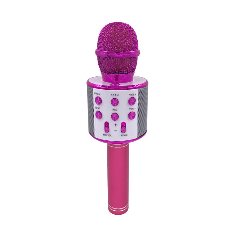 Portable Wireless Bluetooth Microphone with Mini KTV Speaker