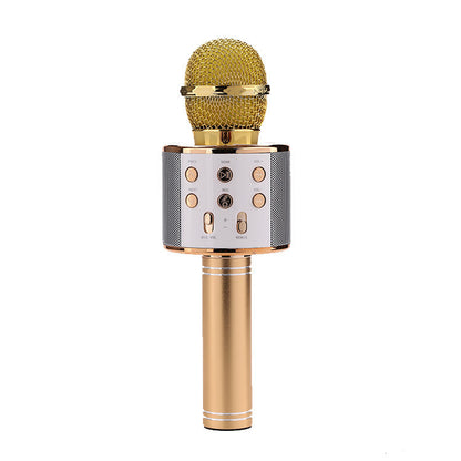 Portable Wireless Bluetooth Microphone with Mini KTV Speaker