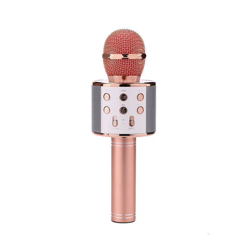 Portable Wireless Bluetooth Microphone with Mini KTV Speaker