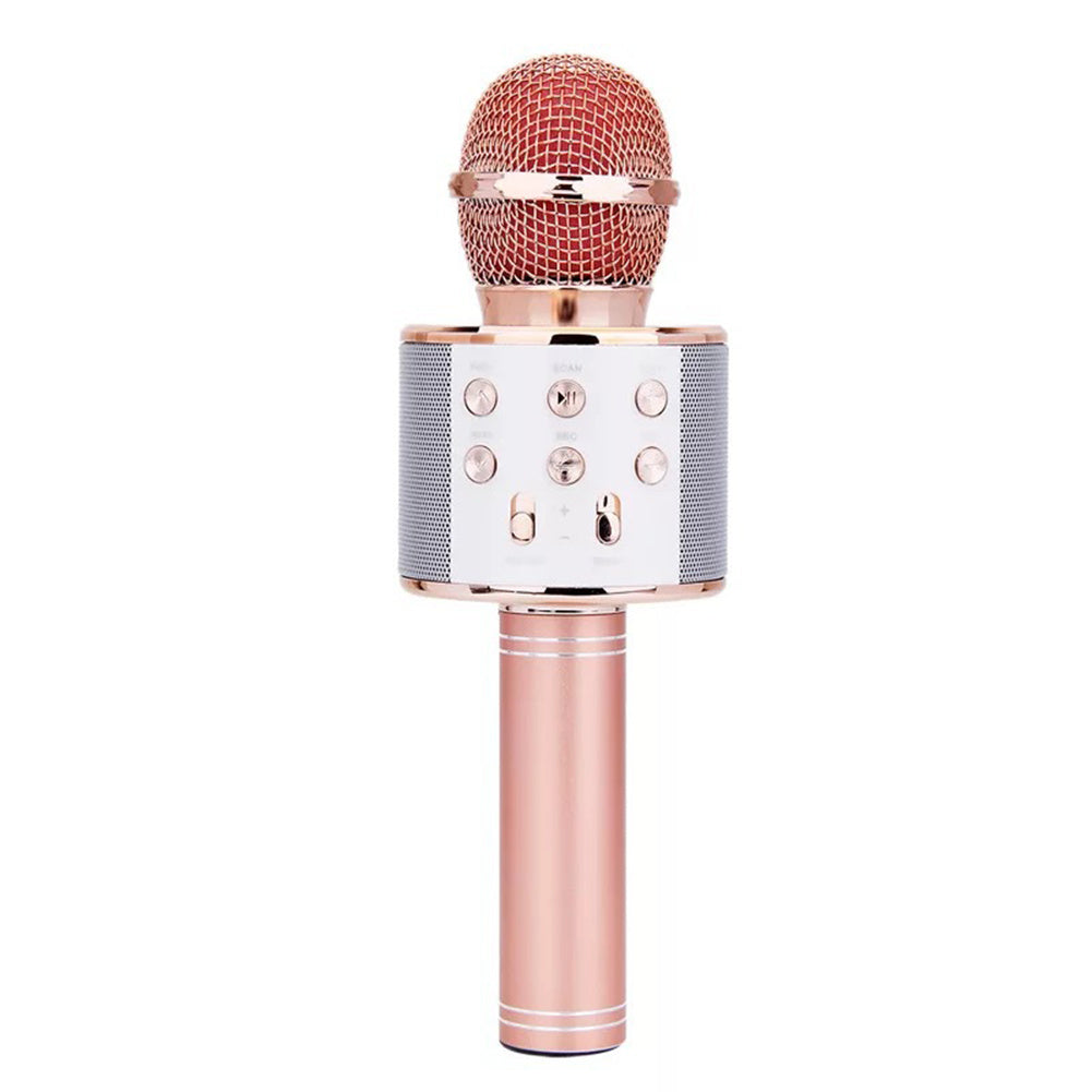 Portable Wireless Bluetooth Microphone with Mini KTV Speaker
