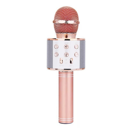 Portable Wireless Bluetooth Microphone with Mini KTV Speaker