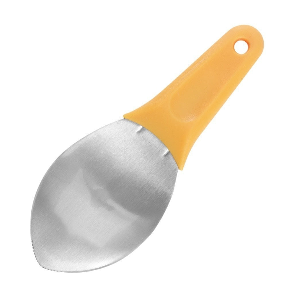 Stainless Steel Mango Peeler Fruit Meat Spoon Mango Cutter Dice