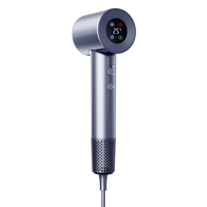 Hair Dryer Household Anion High Power