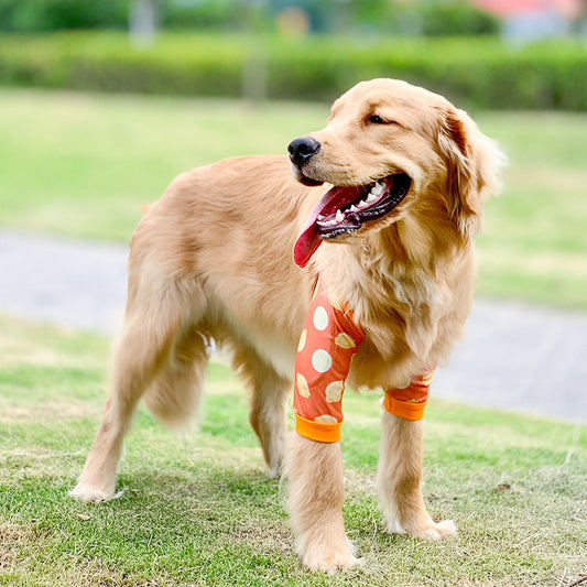 Pet Knee Joint Wear Protection Sleeve