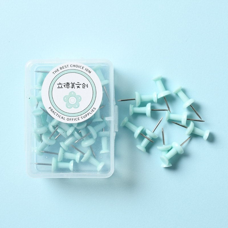 Macaron Color Plastic Push Pins – Small and Large Sizes