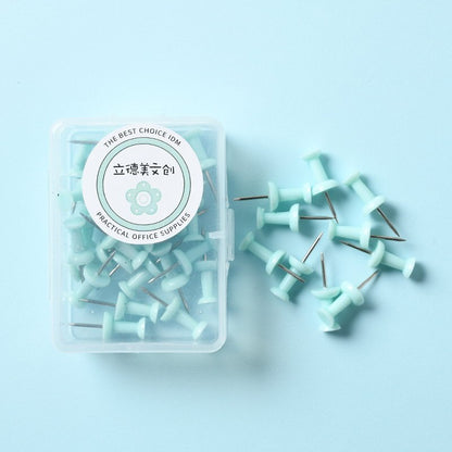 Macaron Color Plastic Push Pins – Small and Large Sizes